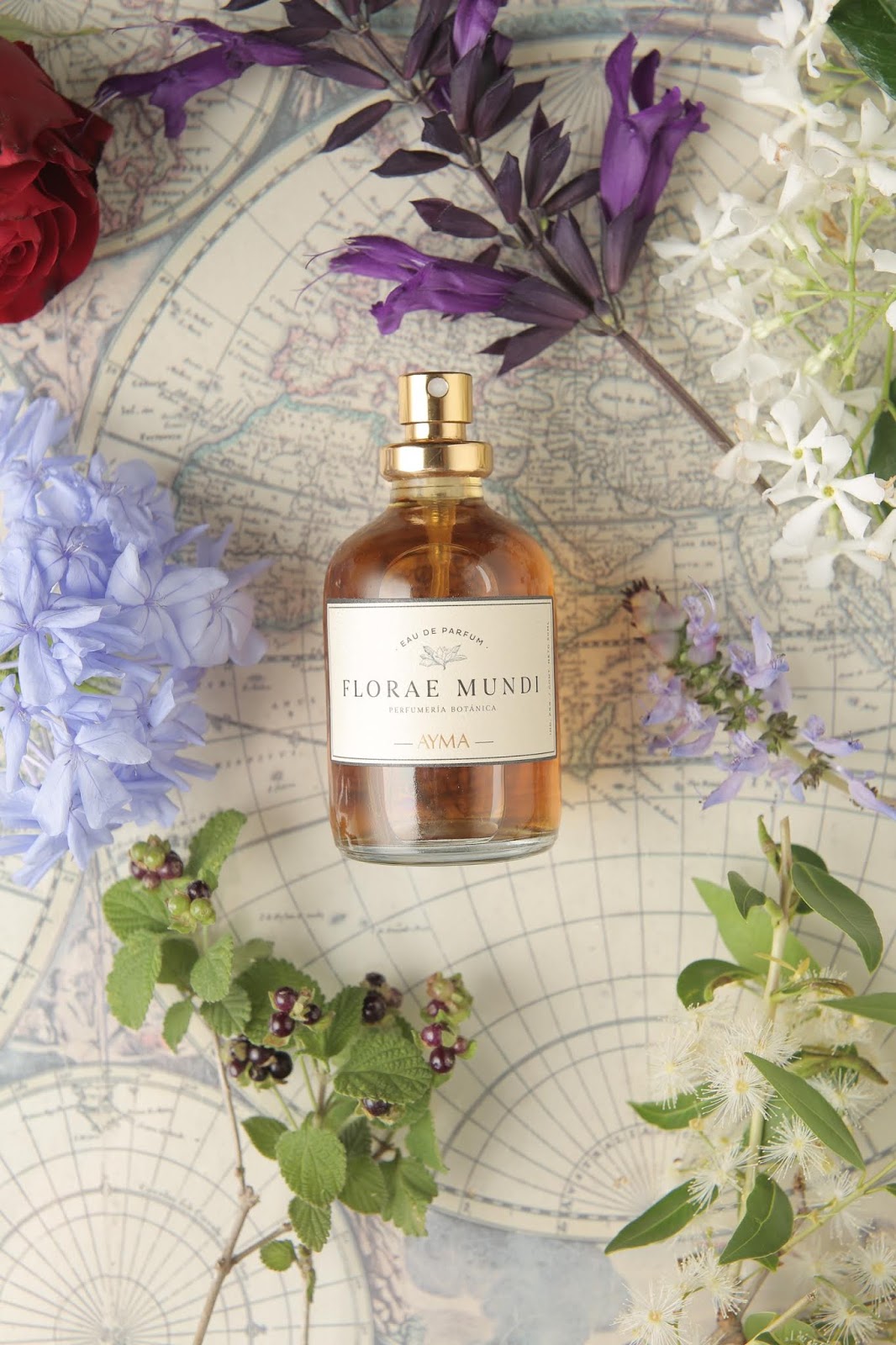 香水精油創(chuàng)意包裝盒(圖7) 香水精油創(chuàng)意包裝盒(圖7)