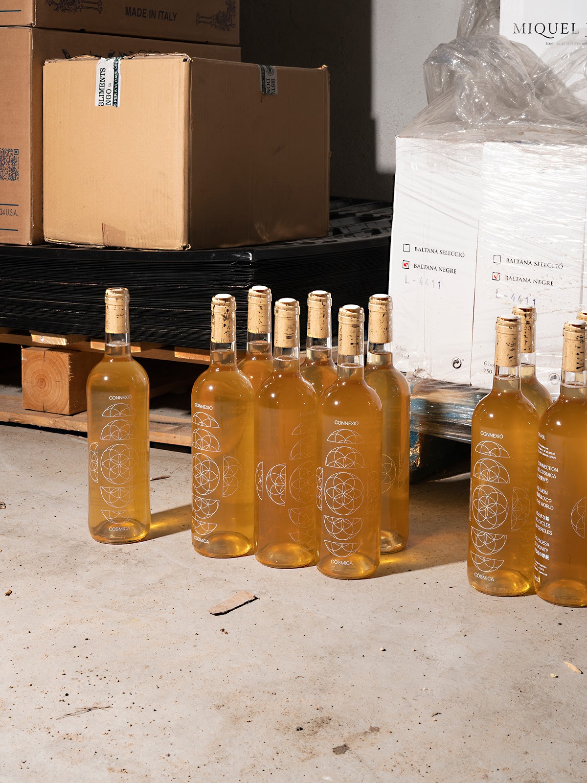 深圳葡萄酒包裝設(shè)計(jì)欣賞(圖2)