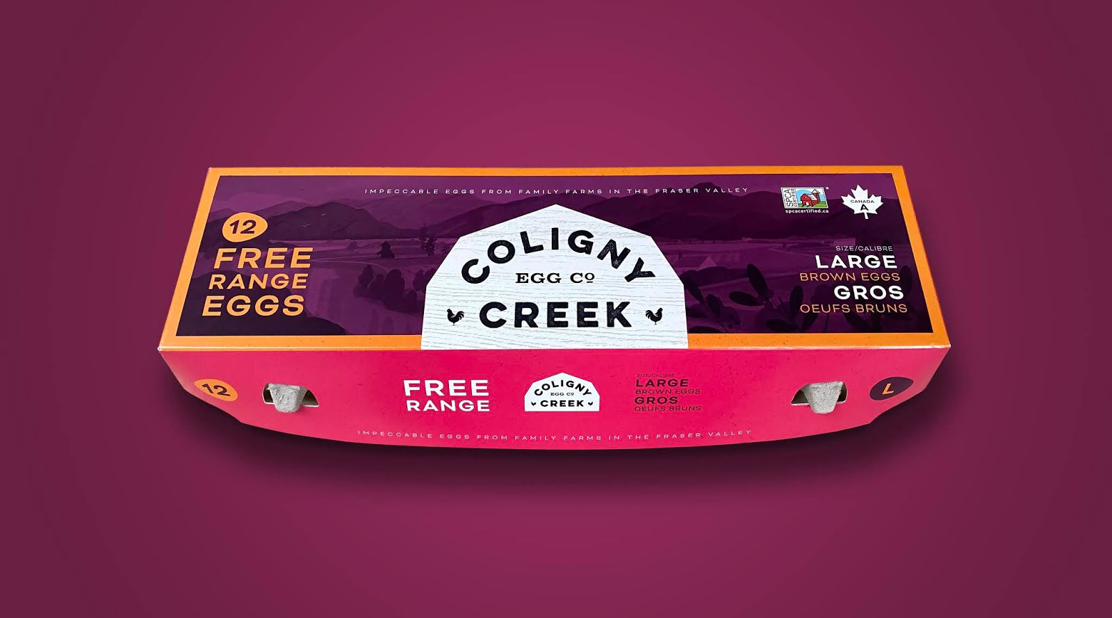 成都雞蛋包裝設計欣賞(圖2) 成都雞蛋包裝設計欣賞(圖2)