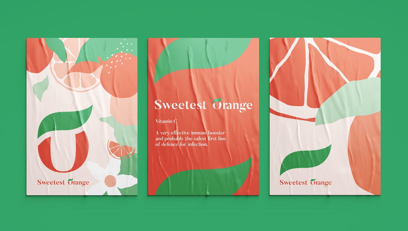 維生素C補充劑包裝設(shè)計(圖12)