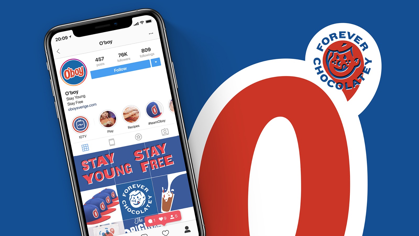 沖調(diào)產(chǎn)品飲料包裝設(shè)計(jì)(圖6) 沖調(diào)產(chǎn)品飲料包裝設(shè)計(jì)(圖6)