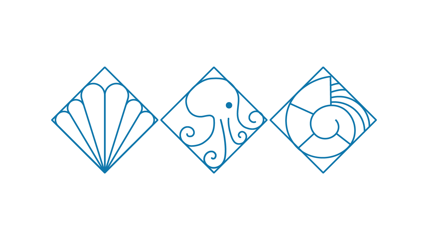 魷魚食品零食包裝設(shè)計(jì)(圖3)