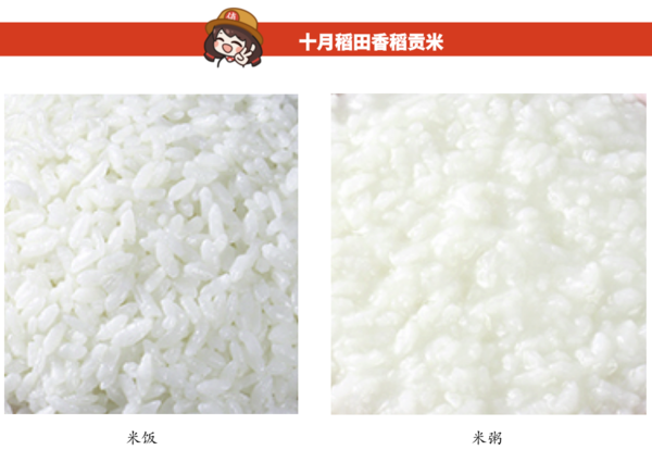 SHI YUE DAO TIAN 十月稻田 香稻貢米包裝設(shè)計(jì)欣賞 (圖2)