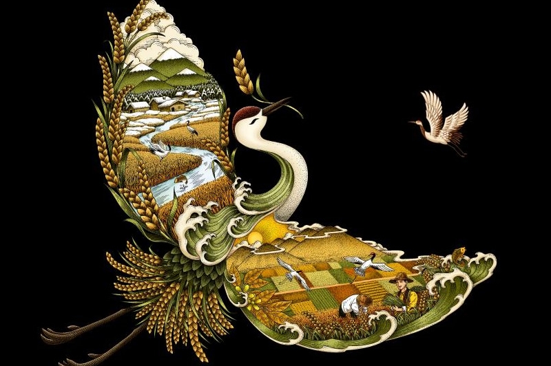 四喜如何通過(guò)包裝設(shè)計(jì)，讓金鶴黑珍珠大米彰顯高端定位