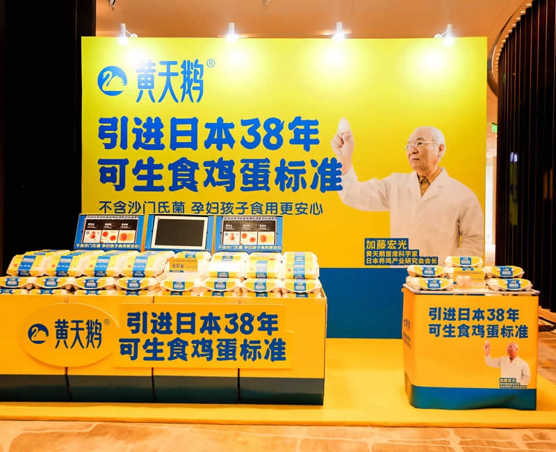 黃天鵝可生食雞蛋&大師小點(diǎn)蛋撻品牌包裝全案設(shè)計(jì)包裝設(shè)計(jì)案例 - 四喜設(shè)計(jì)作品