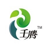 壬騰品牌logo設(shè)計(jì)欣賞與分析(圖1) 壬騰品牌logo設(shè)計(jì)欣賞與分析(圖1)