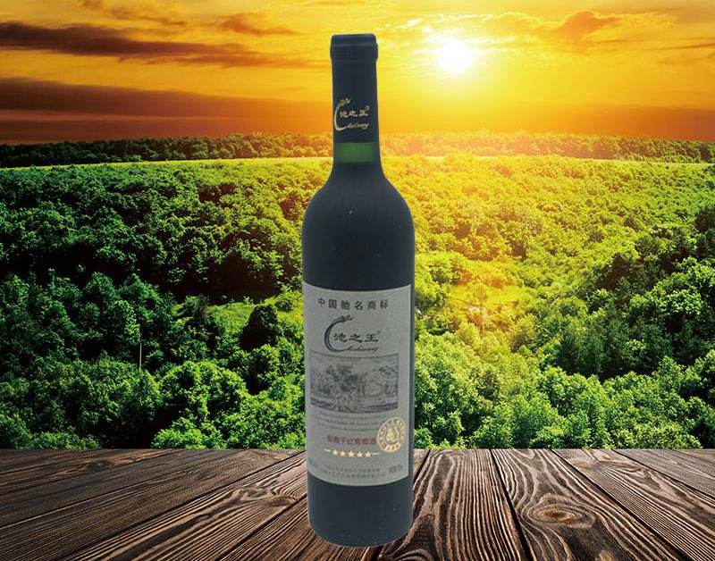 池之王葡萄酒 池之王品牌logo與食品包裝設(shè)計欣賞(圖3)