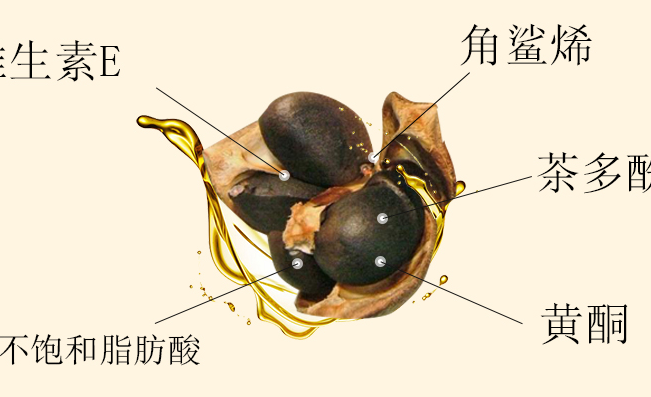 齊云山 齊云山食品包裝設(shè)計(jì)欣賞(圖4)