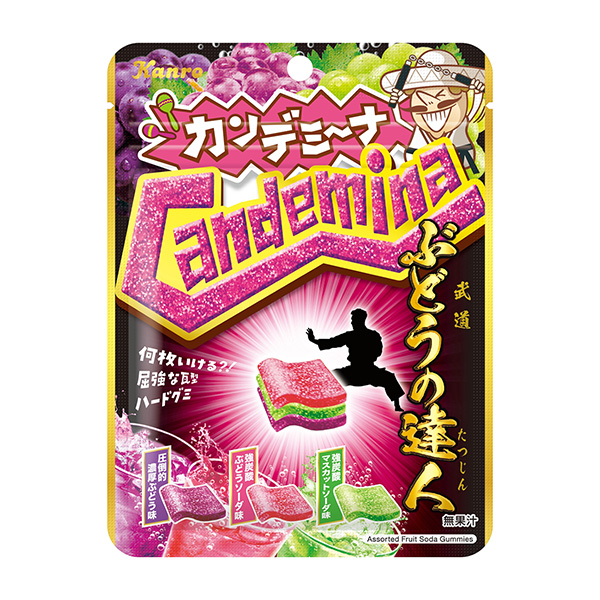 Ganagumi 葡萄達(dá)人包裝設(shè)計(jì)欣賞(圖1) Ganagumi 葡萄達(dá)人包裝設(shè)計(jì)欣賞(圖1)